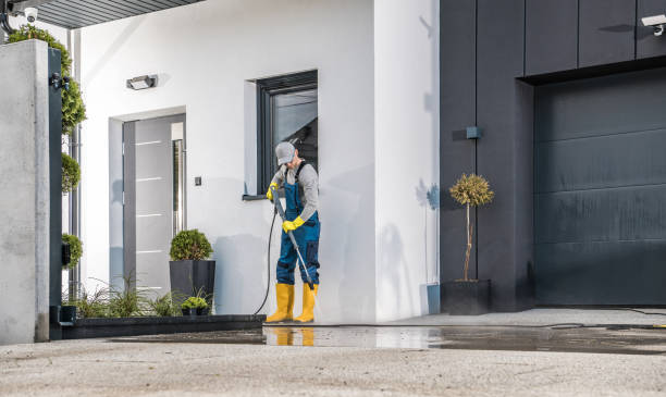Best Soft Washing  in Bellflower, CA